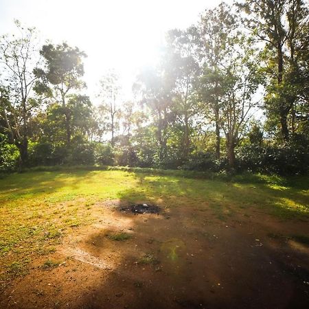Misty Valley Hill Resorts Nelliyampathy Kültér fotó