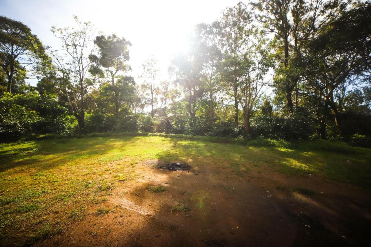 Misty Valley Hill Resorts Nelliyampathy Kültér fotó